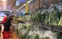 Giật mình với chất lượng rau xanh ở chợ và siêu thị