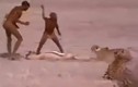 Video: Thổ dân châu Phi liều mạng cướp mồi của báo săn