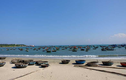 Ngắm bãi biển quyến rũ nhất hành tinh ngay tại Việt Nam