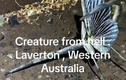 Sinh vật bí ẩn đến từ địa ngục ở Tây Úc