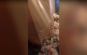 Video: Cô gái khiến chủ nhà "ngã ngửa" vì cảnh tượng kinh hoàng 