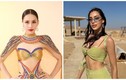 Ai sẽ đăng quang Miss Intercontinental 2023?