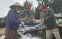 Loài cá khoai ngon ở Thanh Hóa, giá bán gần 500.000 đồng/kg