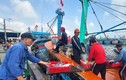 Trúng mẻ cá ngừ 30 tấn, thuyền viên chia nhau gần 1 tỷ 