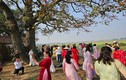 Nhiều người háo hức check-in cây gạo bên bờ sông Thương