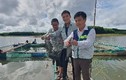 Ra hồ nước nhân tạo ở Quảng Trị nuôi cá đặc sản to bự
