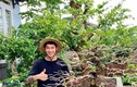 Khởi nghiệp từ cây bonsai cổ thụ, 9x Đắk Lắk doanh thu hàng tỷ/năm