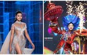 Hành trình của mỹ nhân Việt trước chung kết Miss Cosmo 2024