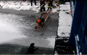 Chó kêu gào thảm thiết vì mắc kẹt trên sông băng