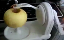 Hoạt động chi tiết của máy gọt vỏ trái cây tiện dụng