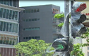 Đèn tín hiệu giao thông có âm thanh ở Sài Gòn