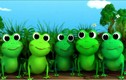 Nghe “Chú ếch con” phiên bản tiếng Ý lạ tai