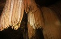Mê mẩn vẻ đẹp kỳ vĩ của hang Brai ở Quảng Trị