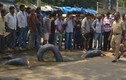 Điểm mặt những cuộc biểu tình quái dị nhất Ấn Độ