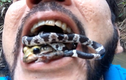 “Dị nhân” ngậm cả rắn và ếch độc trong miệng