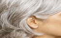 Vì sao tóc chúng ta lại bạc khi già?