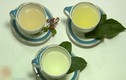 Ba loại trà giúp giảm viêm họng thần kỳ