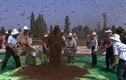 Xem dị nhân để 637.000 con ong bu kín người