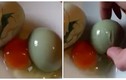 Kỳ lạ trứng gà đẻ ra trứng