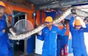 Phát hiện quái vật trăn khổng lồ dài nhất thế giới ở Malaysia