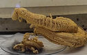 Phản ứng hóa học “con rắn của Pharaoh” khiến người xem nổi da gà