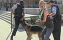 Clip: Hoảng hốt khi thấy chó cắn chỗ hiểm của cảnh sát