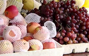 Sai lầm nghiêm trọng trong quan niệm ăn hoa quả thay rau