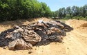 Khẩn trương di dời hàng trăm tấn chất thải Formosa được chôn lấp 