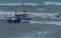Cứu sống 4 ngư dân trên tàu chìm do lốc xoáy ở Hoàng Sa