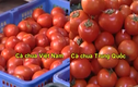 Cách phân biệt cà chua Việt Nam và Trung Quốc