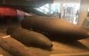 Soi "quái vật bom mìn" bị Công binh Việt Nam khuất phục