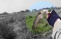 Đếm thử các kiểu câu cá độc lạ ở Việt Nam