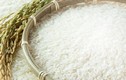 Ngoài nấu cơm, gạo có thể dùng làm gì?