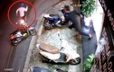 Video: “Đạo chích” trộm xe máy bị người dân truy đuổi