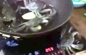 Video: Bị đun trong chảo nóng, cua bò ra ngoài tắt bếp cứu đồng loại