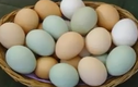 Video: Tiết lộ mẹo hay liên quan tới trứng có thể bạn chưa biết