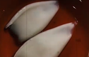 Video: Tìm hiểu về mực tẩy trắng