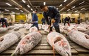 Video: Chợ bán cá ngừ ngon nhất thế giới ở Nhật Bản
