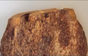 Video: Vì sao gỗ nu đắt gấp nhiều lần gỗ sưa?