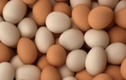 Video: 10 lợi ích tuyệt vời khi ăn trứng gà vào bữa sáng
