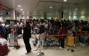 Những ngày gần Tết, sân bay Tân Sơn Nhất đông nghịt, hành khách vật vã nằm chờ 