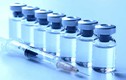 Bộ Y tế công bố 8 vắc xin kết hợp được phép lưu hành tại Việt Nam