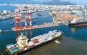 Vực dậy từ nợ nần, Vinalines chi 415 tỷ đồng mua lại cổ phần cảng Quy Nhơn