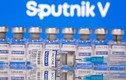 Thủ tướng giao Bộ Y tế hỗ trợ doanh nghiệp mua vắc xin Sputnik V