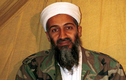 Trùm khủng bố Osama Bin Laden: chết vẫn chưa yên