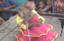Clip: Lễ cưới hoành tráng của cặp đôi... khỉ