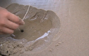 Clip: Cận cảnh câu tôm tít trên bãi biển