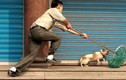 Truyền hình Anh làm phóng sự nạn trộm chó ở Việt Nam