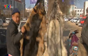 Kinh hoàng xưởng sản xuất da chó ở Trung Quốc