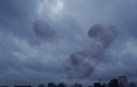 Đàn chim sáo tạo hình kỳ dị trên bầu trời Hà Lan